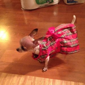 Meet your Posher, Paula